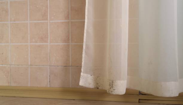 Best Asbestos and Lead Testing During Mold Inspection  in Monroe, IA