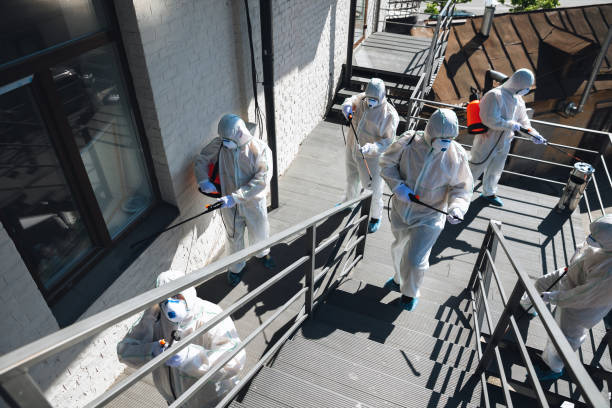 Best Emergency Mold Remediation  in Monroe, IA