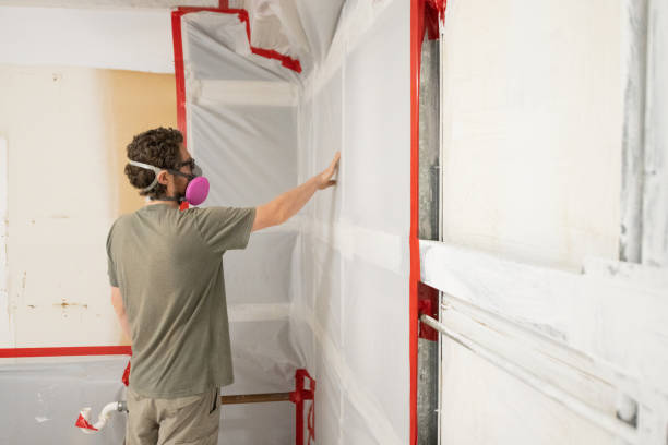 Best Mold Remediation for Healthcare Facilities  in Monroe, IA