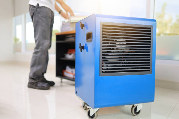 Best Mold Removal for HVAC Installations  in Monroe, IA