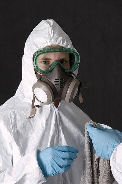 Best Basement Mold Removal  in Monroe, IA